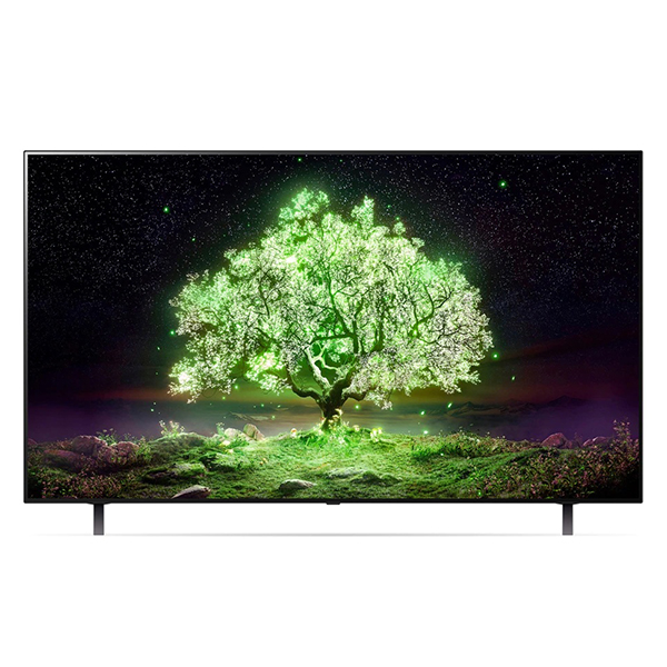 [LG] OLED 65인치 스탠드형 TV